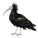 Spil, Fauna familiespil - Billede 1