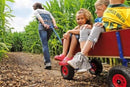 Berg Beach Wagon XL - Billede 1