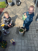 Dantoy - Green Garden - Plantesæt - 11 dele