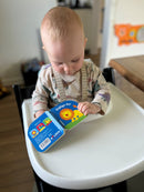 Pegebog i kraftig pap - 1 stk. ass.