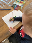 STAEDTLER - Noris Farveblyanter - 24 stk