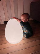 Ægget lampe med LED lys - 16 farver - Ø:30 cm - inkl fjernbetjening.