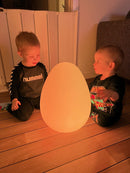 Ægget lampe med LED lys - 16 farver - Ø:30 cm - inkl fjernbetjening.