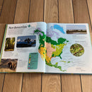Børnenes illustrerede dyreatlas - Børnebog