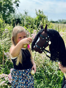 Striglesæt til kæpheste - 7 dele - byAstrup - Fra 3 år
