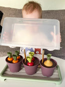 Green Garden Drivhus-sæt - Svanemærket Plast - Dantoy - 15 dele. - Billede 1
