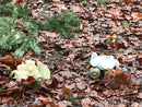 Dantoy BIO-plast - Svanemærket Bil & Flyver - Fra 2 år. - Billede 1