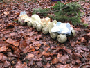 Svanemærkede BIO-plast Køretøjer fra Dantoy - 8 dele - Fra 2 år. - Billede 1