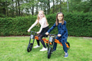 Zippl Cykel 2 medium - 3-6 år. - Billede 1