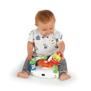 Baby Einstein - Sky Explorers Gåvogn - Fra 0 mdr. - Billede 1