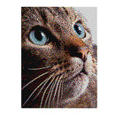PixelArt/PixelFoto Refill Æske - SORT - 1000 stk - Ø:4 mm. - Billede 1