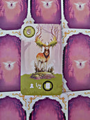 Equinox Nordic - Lilla Udgave - Asmodee - Fra 10 år - Billede 1
