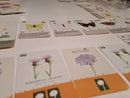 Biotopia familie-kortspil om sommerfugle - Asmodee - Fra 10 år. - Billede 1