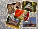 Pictures familiespil - Årets Spil 2020 Vinder - Fra 8 år - Billede 1