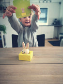 Bunny Boo IQ-spil - 60 udfordringer - fra 2 år - Billede 1