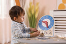 Lær Klokken Legeur / Læringsur i FSC-træ - VIGA - Fra 3 år. - Billede 1