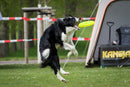 Frisbee til leg - Ø 24 cm. i assorterede farver. - Billede 1