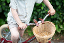 Trybike løbecykel med 3 hjul - Rød - Fra 2 år. - Billede 1
