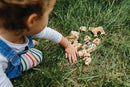 Freckled Frog - Mine Første Bondegårdsdyr - Fra 1 år. - Billede 1