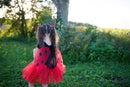 Udklædning, Mariehøne, 4-6 år