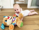 Tøjdyr med Lyde fra Fisher Price - Billede 1