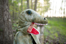 Udklædning, T-Rex kappe - 4-6 år