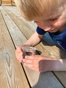 Insektglas med 5x forstørrelse - Ø:4,5 cm. - Billede 1