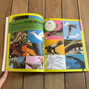 Bog, Fakta-aktivitetsbog: Dinosaurer