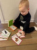Lege-lære-kort: DYR - Fra 1-5 år