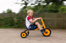 RABO Rider - Trehjulet Cykel Gokart - Fra 4-9 år. - Billede 1