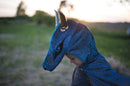 Udklædning - Grøn Dragekostume - Fra 5-6 år. - Billede 1