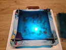 Dive familiespillet (engelsk udgave) - Fra 8 år