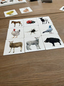 Billedlotteri med dyr for 2-4 spillere - GA-Toys - Fra 3 år.
