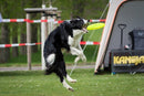 Frisbee sæt til leg - 3 stk - Ø 24 cm. i assorterede farver. - Billede 1