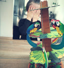 Polly Jolly børnespillet - Tactic - Fra 5 år.